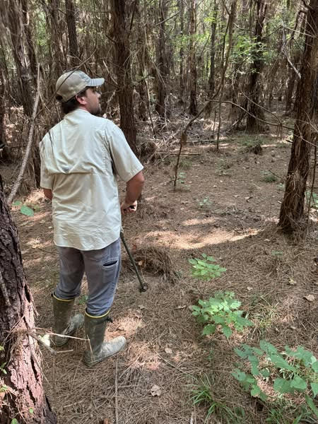 Headwaters: Growing with AWS in Mississippi